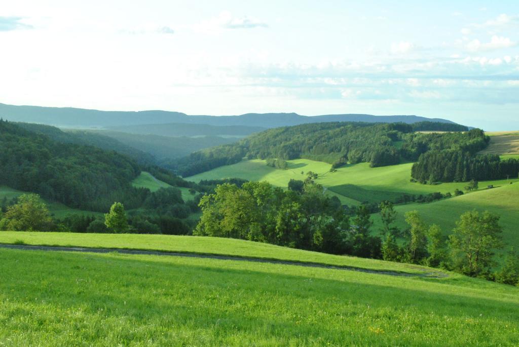 Gasthaus Kranz Lausheim Luaran gambar