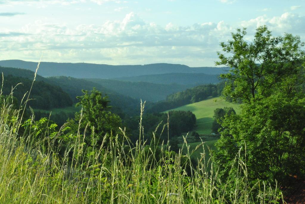 Gasthaus Kranz Lausheim Luaran gambar